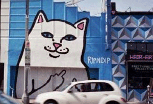 RIPNDIP猫正品多少钱 RIPNDIP质量怎么样